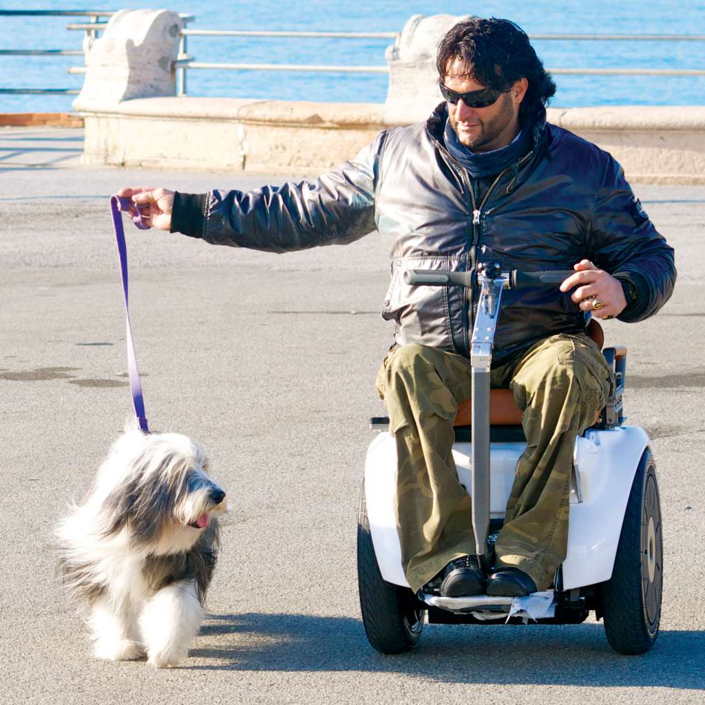 Pasea a tu mascota sin problemas con la silla de ruedas eléctrica Genny